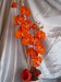 Orchidej - oranžová "Midday"